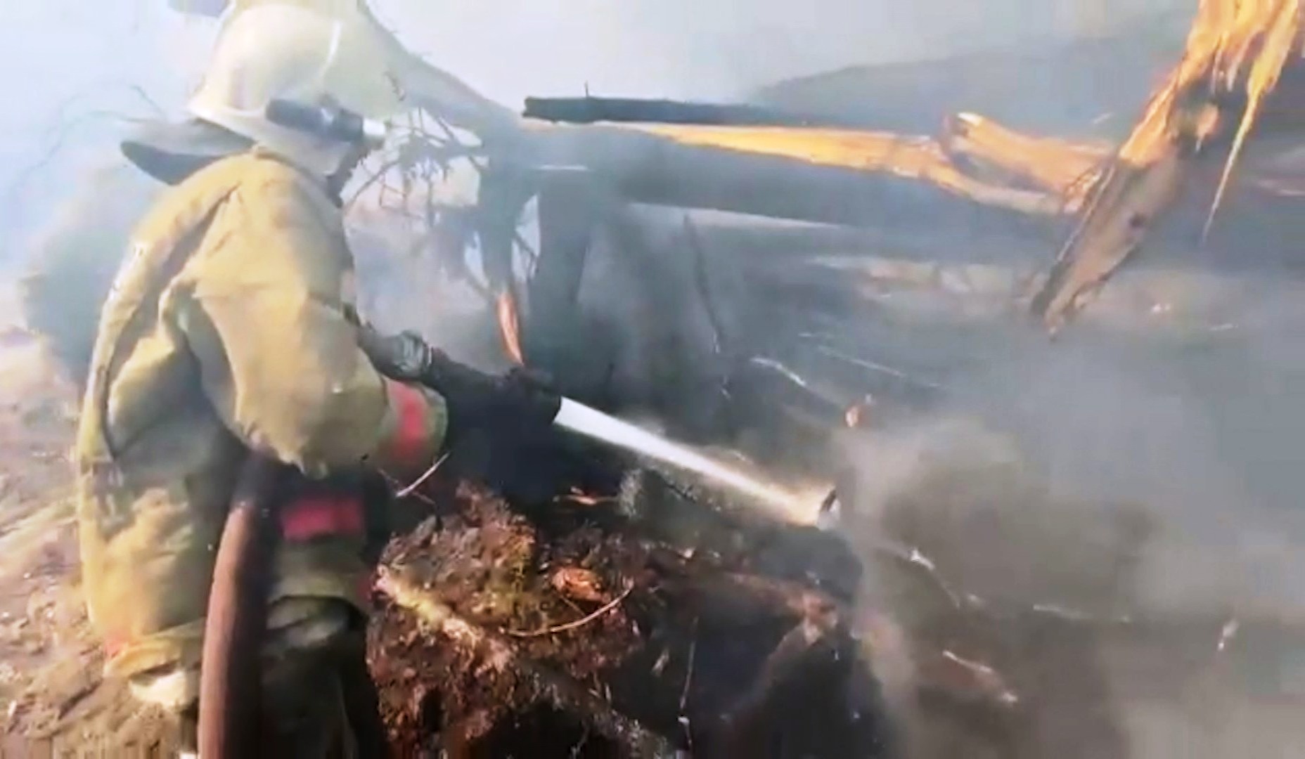 Тушить горящий лес в Кологривском районе мешают падающие деревья