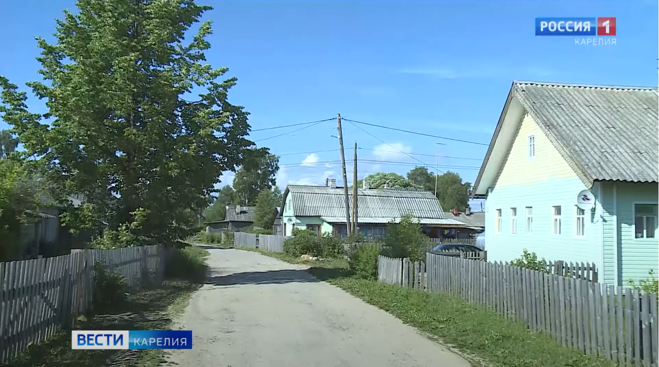 Одичавшая собака жителя Костромы держит в страхе целую деревню