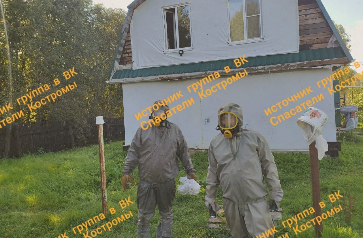 Спасатели избавили дачный дом под Костромой от «опасных» соседей
