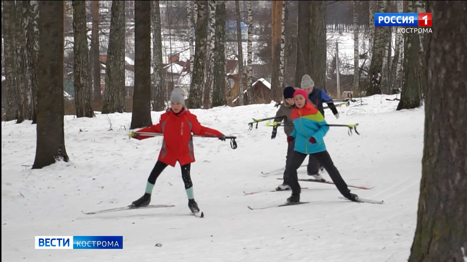 Уличные спортплощадки Костромской области подготовят к каникулам