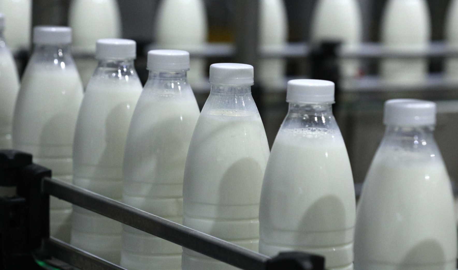 Для костромских предприятий упростили получение субсидий по программе «Социальное молоко»