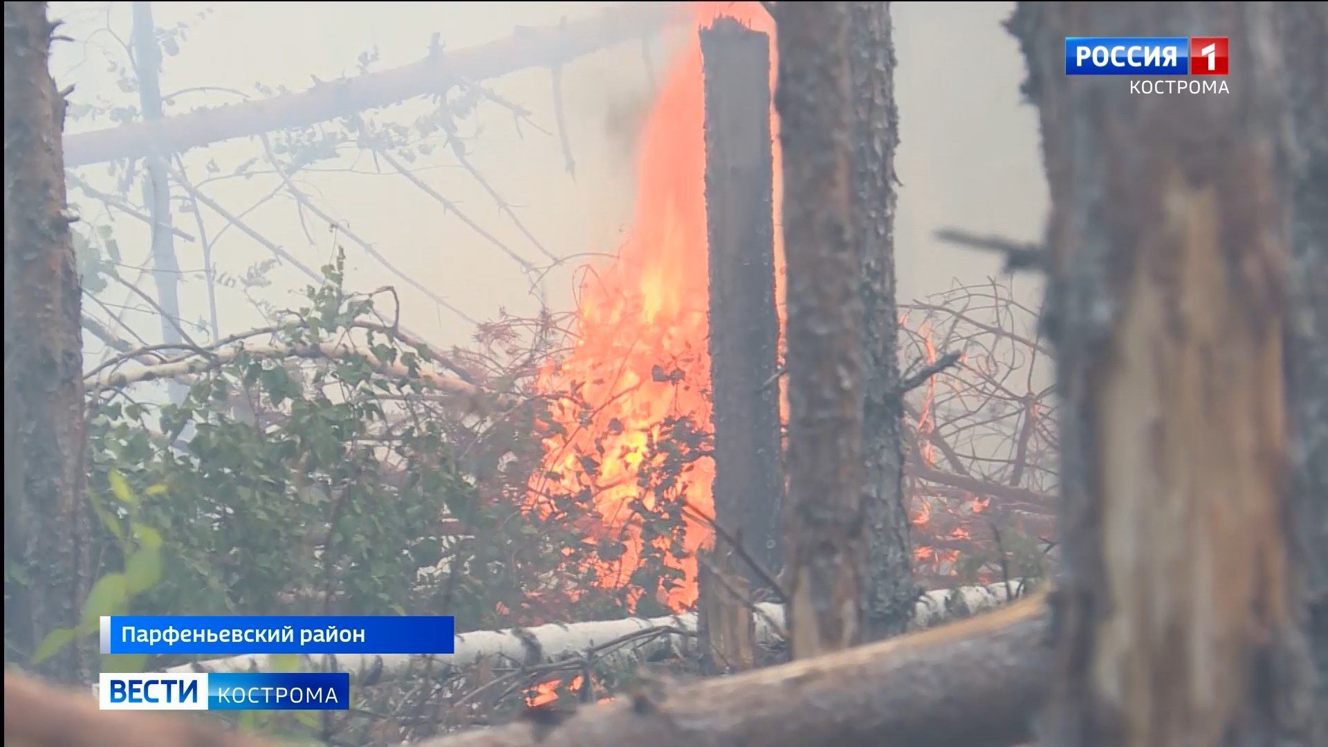 В Костромской области вторые сутки идет борьба с самым большим в сезоне лесным пожаром
