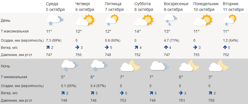 Дожди в Костроме возьмут паузу на несколько дней