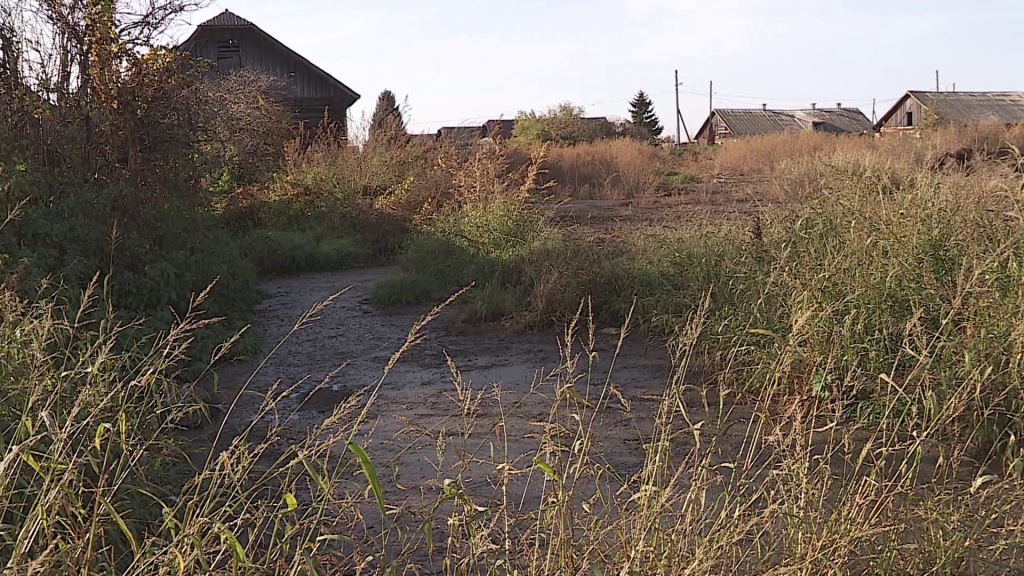 Деревня под Костромой избавилась от навоза с помощью Народного фронта