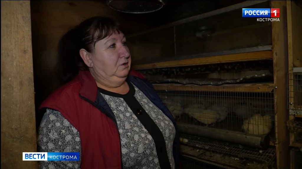 Соцконтракт помог десятикратной бабушке из костромской глубинки открыть птицеферму
