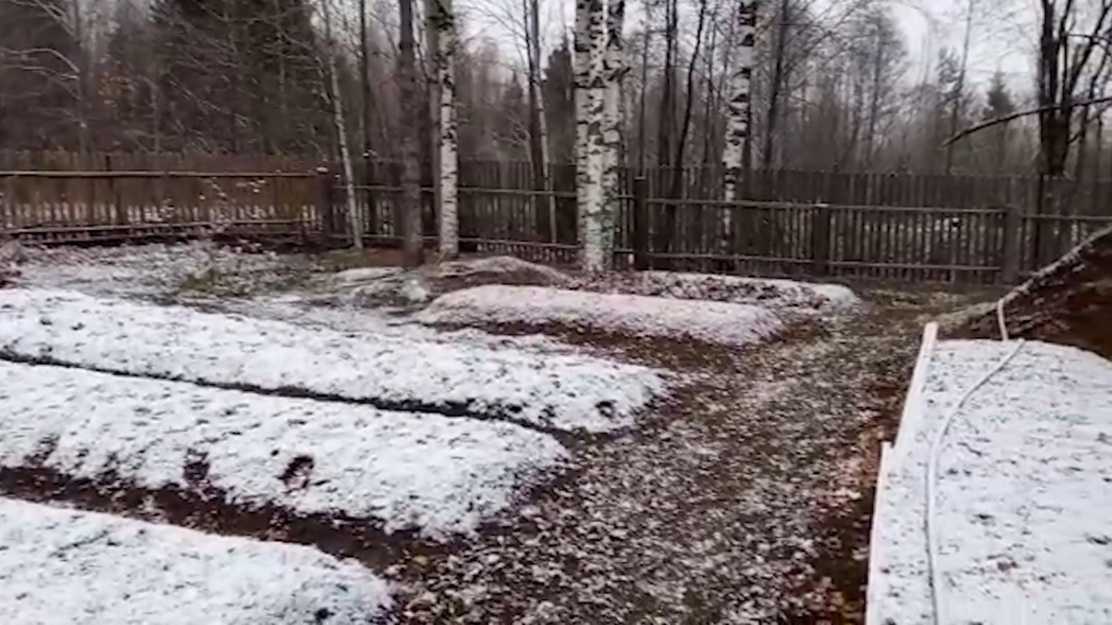 На севере Костромской области выпал первый снег
