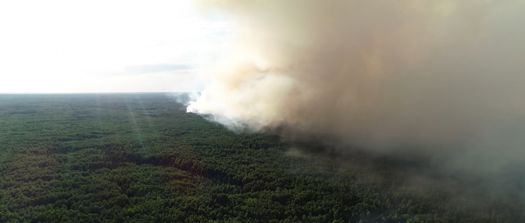 Пожар в кологривских лесах продолжают тушить более ста человек