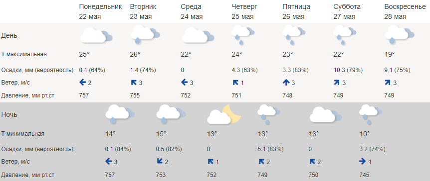 Жарко и дождливенько: погода в Костроме будет неустойчивой всю неделю