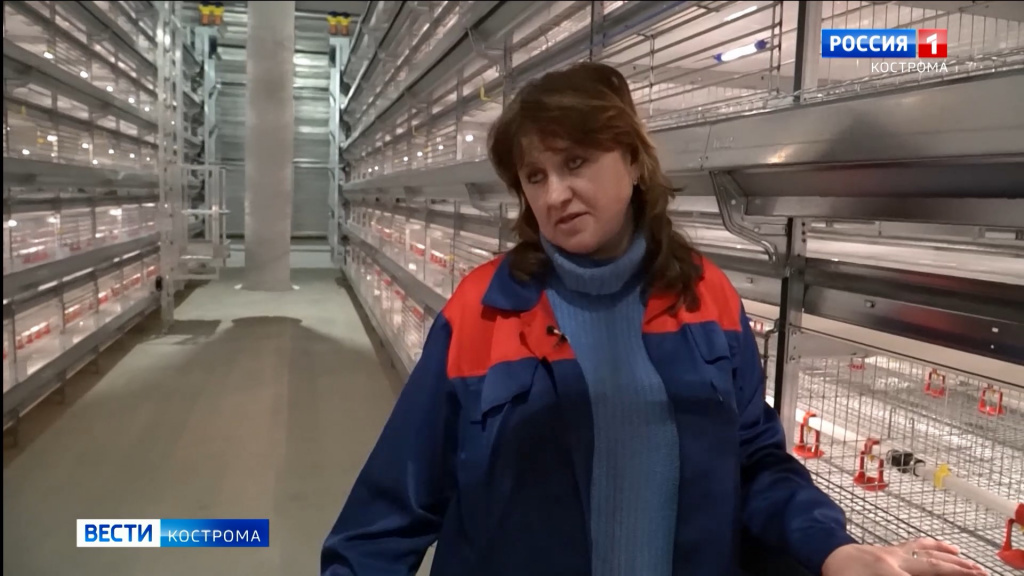 На птицефабрике в Костромской области запустили новый комплекс по выращиванию цыплят