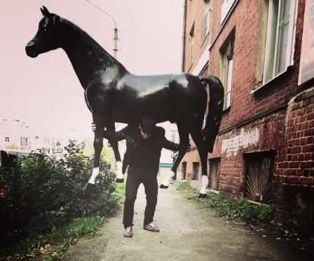 Костромской цыганский музей купил себе коня | ГТРК «Кострома»