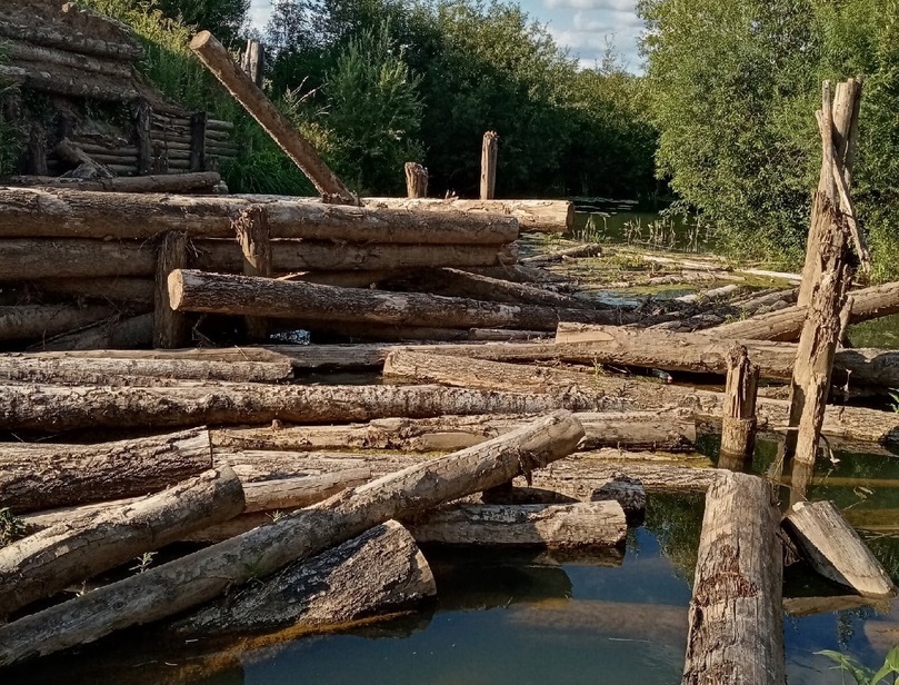 Реку в Костромской области превратили в свалку леса