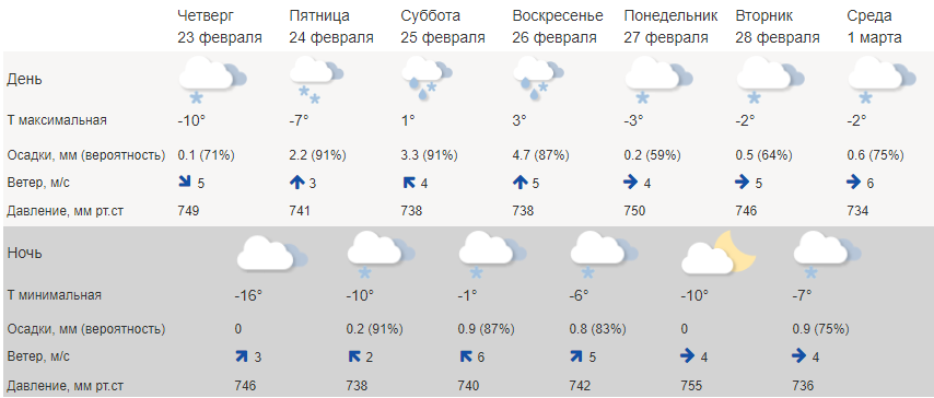 Зимние холода в Костроме и по области вновь сменит оттепель