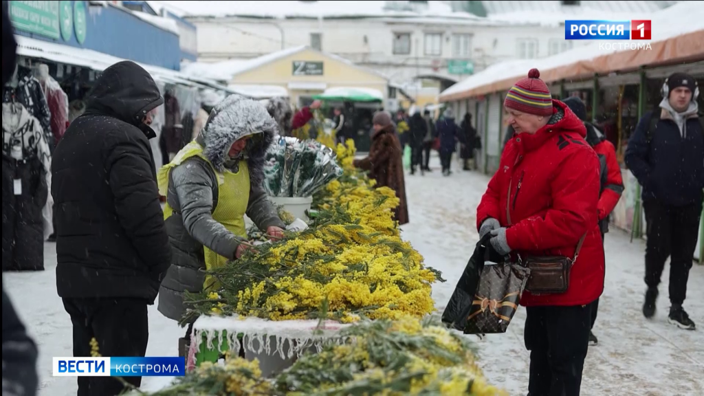 От экзотики до классики: костромские магазины и рынки предлагают широкий выбор цветов к 8 марта