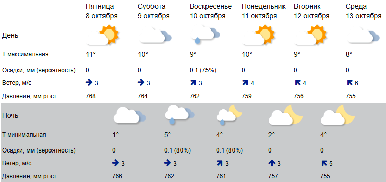 «Золотая осень» в Костроме чуть прихмурится