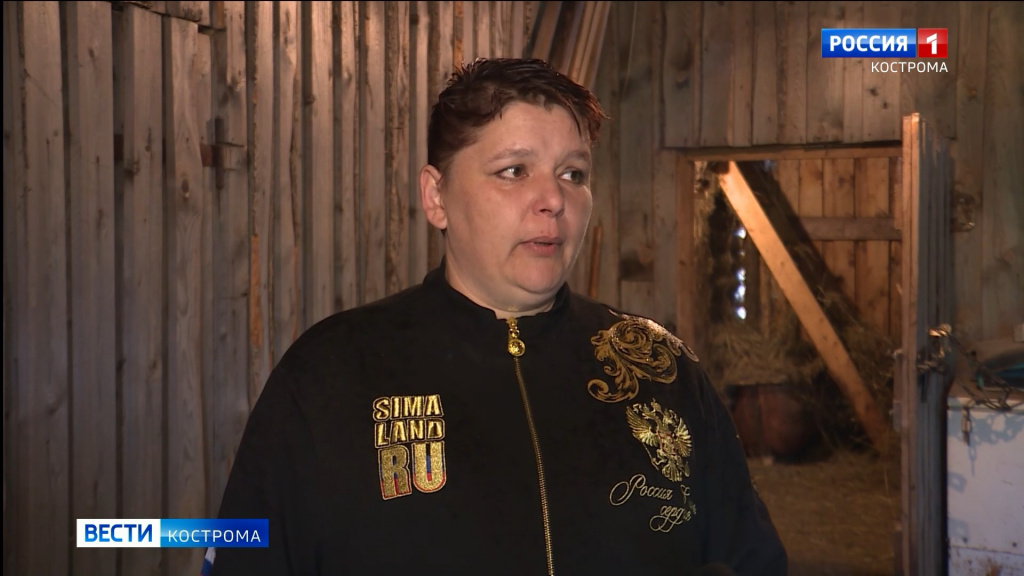 Соцконтракт помог жителю Костромской области стать овцеводом