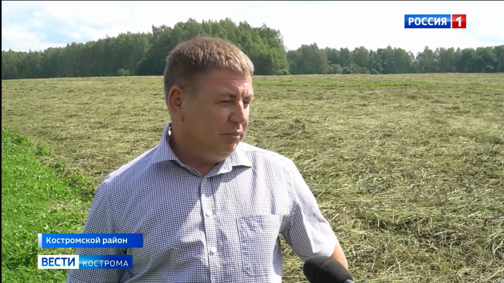 «Капризная» погода тормозит заготовку сена в хозяйствах Костромской области