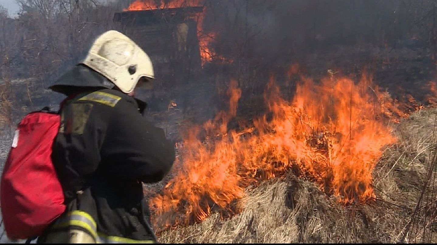 Костромские полицейские нашли виновников пожара в садах «Огонёк»
