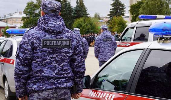 Росгвардейцы задержали в Костроме магазинного грабителя