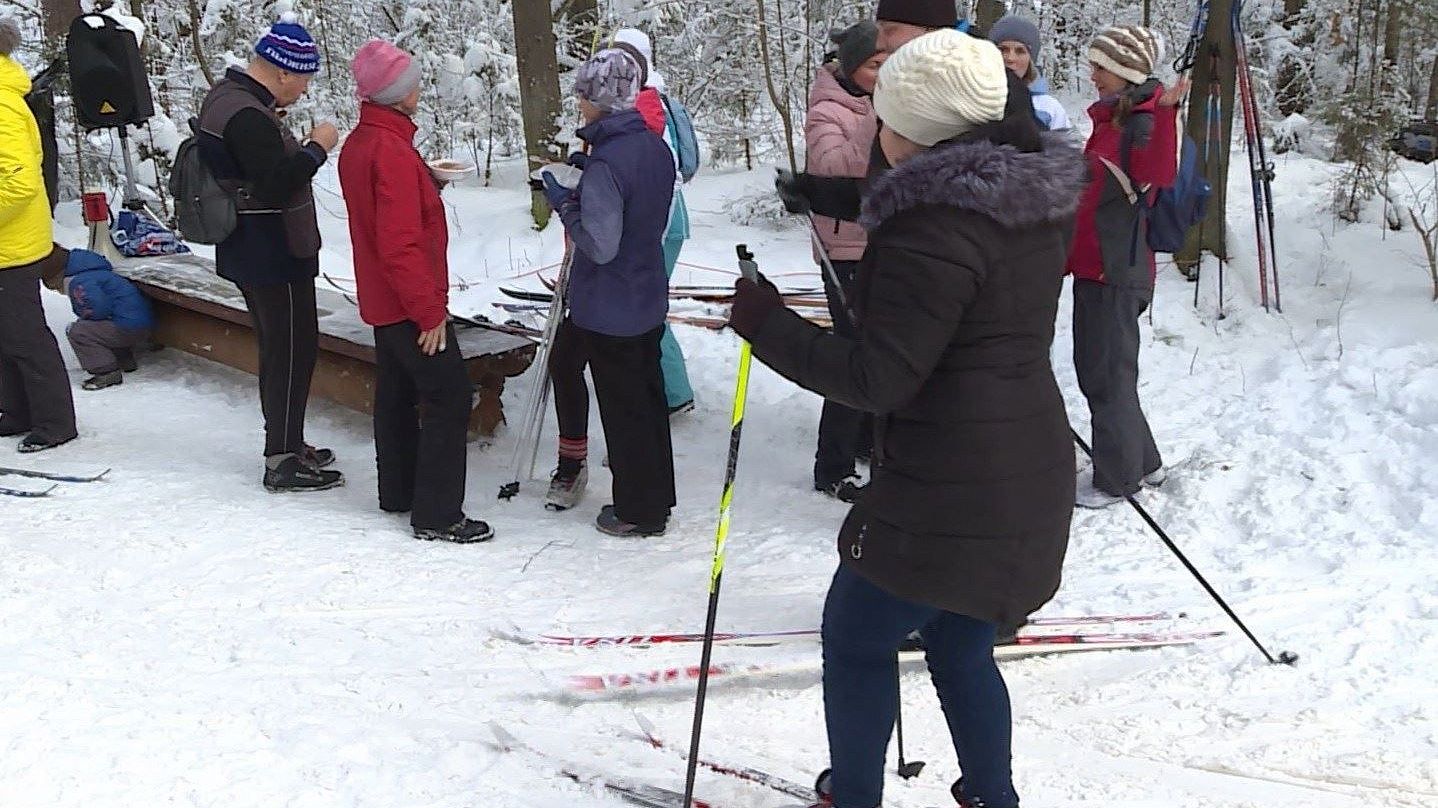 Все на лыжи: костромичи и жители области активно наматывают «километры здоровья»