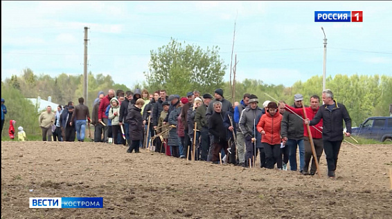 Более 150 семей из Костромы заявились на получение бесплатной земли под огороды