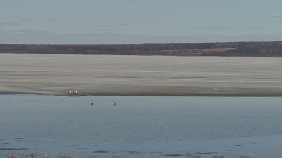 Два озера в Костромской области намерены очистить за счёт федеральной казны