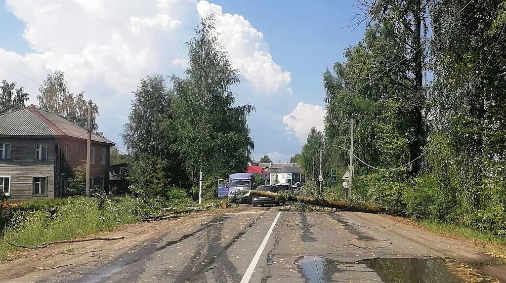 Шарья погода дня. Шарья костромских лесов столица. Шарья Костромская область гроза. Шарья город Костромская область Гал лес. Фото перекрестков в г.Шарья Костромская область.