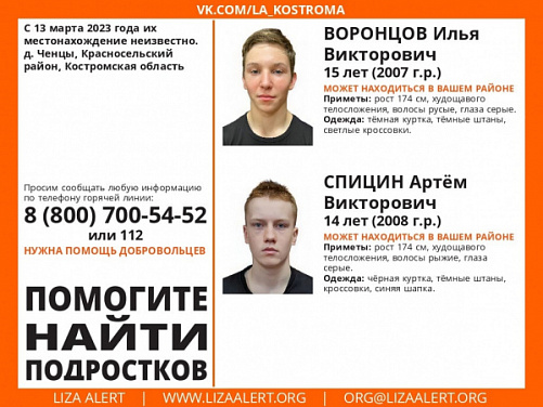 В Костромской области ищут двух мальчиков подростков