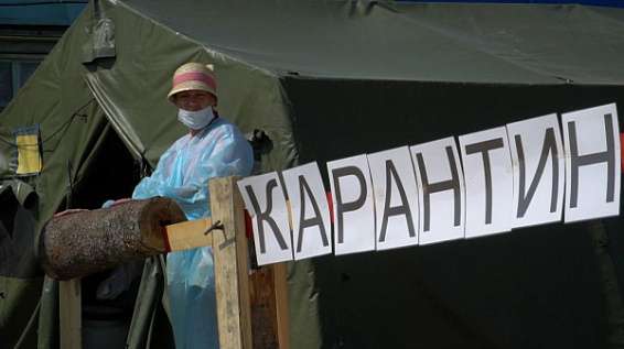 В двух районах Костромской области снят карантин по африканской чуме свиней