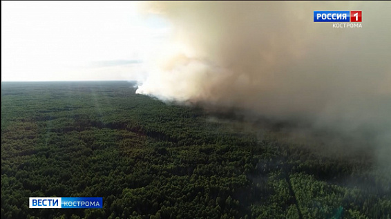 Особый противопожарный режим введен на территории всей Костромской области