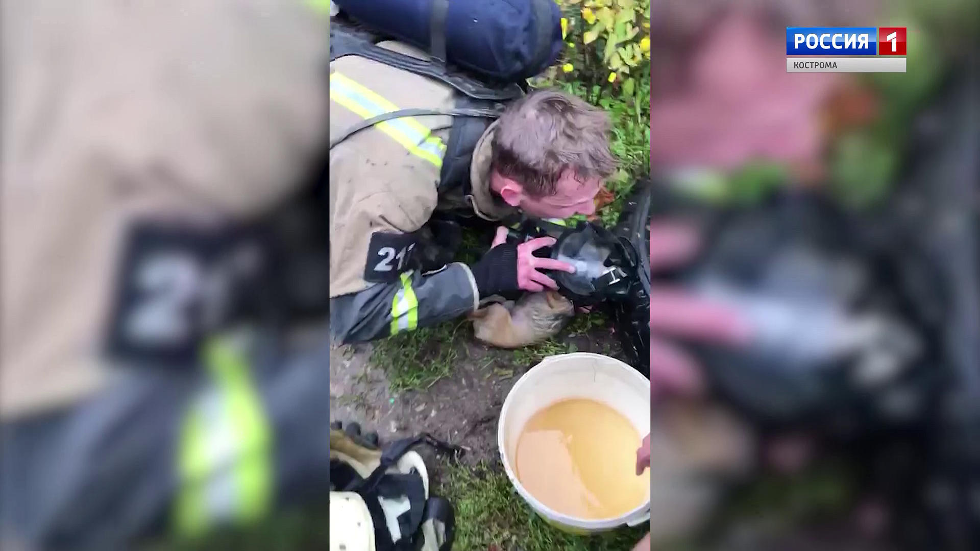 Костромские пожарные реанимировали спасенную из огня собаку