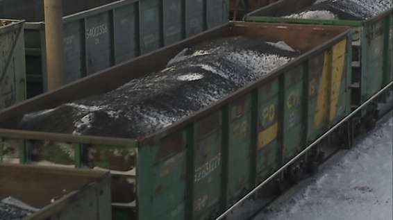 Уголь для отопления костромичей норовит уехать в Китай