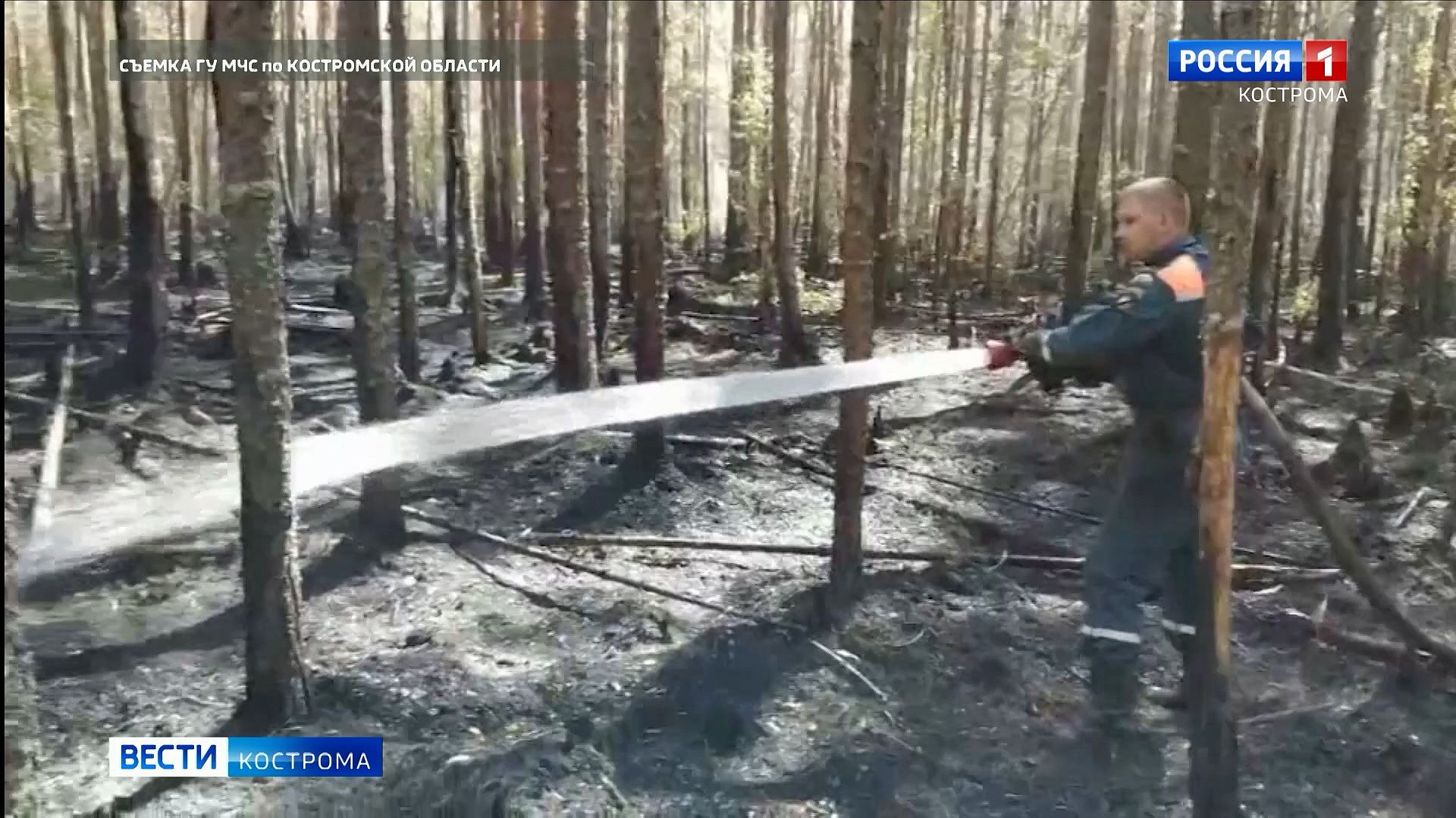 Более двухсот человек тушат пять лесных пожаров в Костромской области