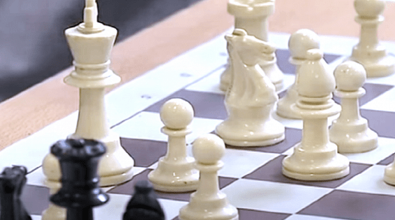 У любителей шахмат в Костроме появится тематический сквер