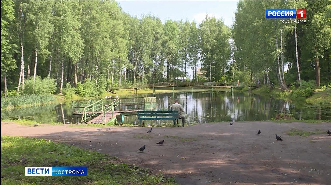 На месте санатория «Костромской» запланировали город-сад