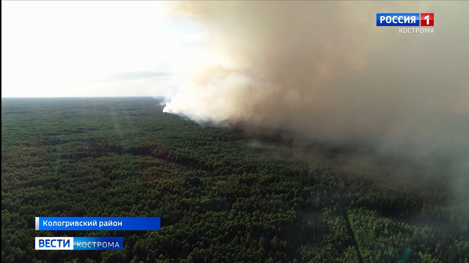 Крупнейший лесной пожар в Костромской области раскинулся на 350 гектаров