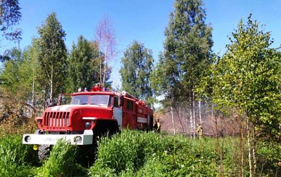 Под Костромой продолжается тушение низового лесного пожара