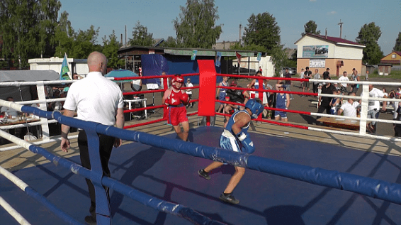 В костромском райцентре состоялся открытый межрегиональный турнир по боксу