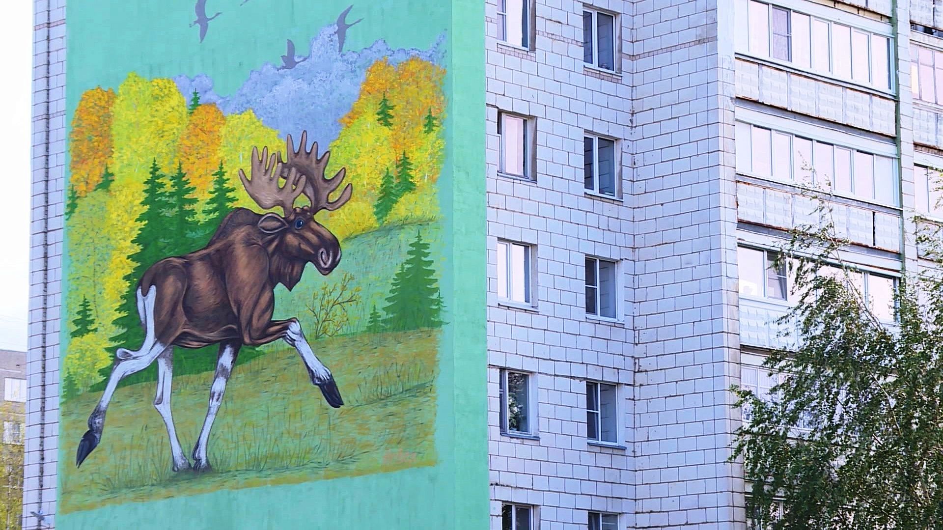Фасады костромских многоэтажек превращаются в красочный стрит-арт