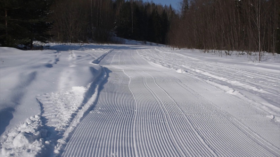 В Костромской области завершается подготовка трассы для лыжной гонки