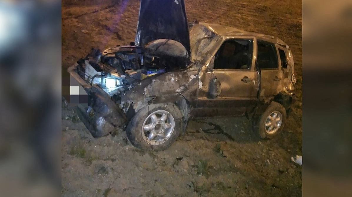 ДТП у костромского посёлка Фанерник: две машины врезались в лося