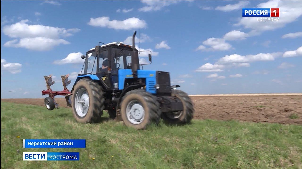 В Костромской области возрождают МТС для аграриев