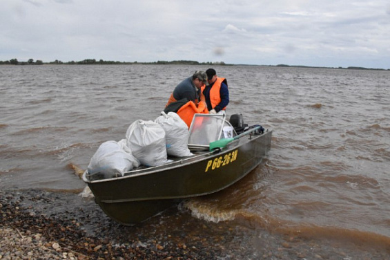 На Костромском заливе экоактивисты собрали более полутонны мусора