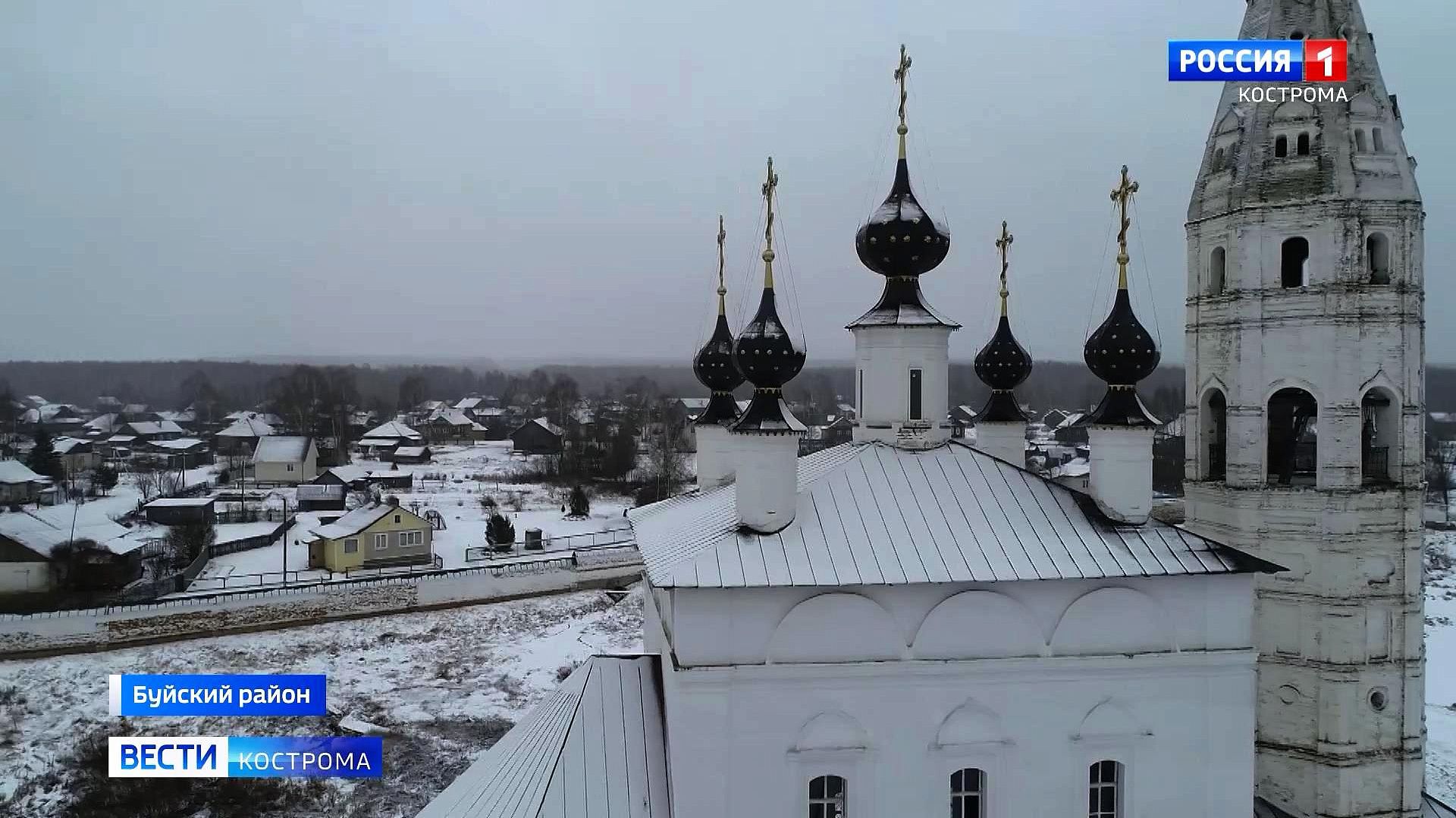 В Костромской области лесничие сохраняют уникальный Монастырский бор 