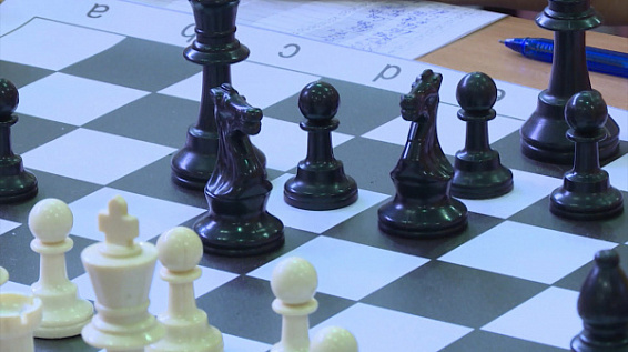 Ход конем: в Костроме начнут готовить педагогов по шахматам