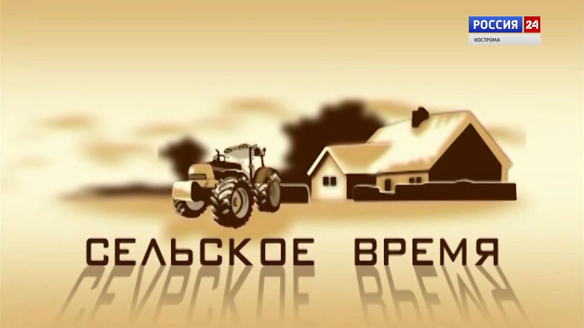 Сельское время. Логотип сельского хозяйства. Жизнь в деревне логотип. ООО Боговар Кострома. Сельское время ГТРК Кострома декабрь.