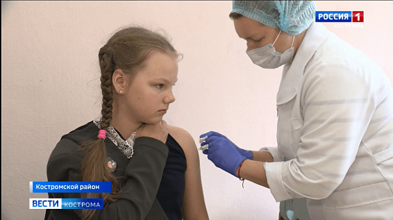 До пятнадцати и старше: костромских школьников разом защищают от четырёх видов гриппа