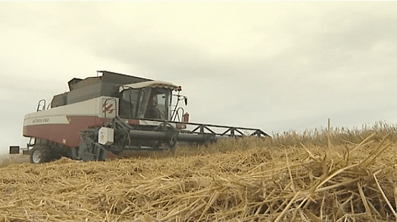 Фермеры Кологривского района подводят итоги сезона полевых работ