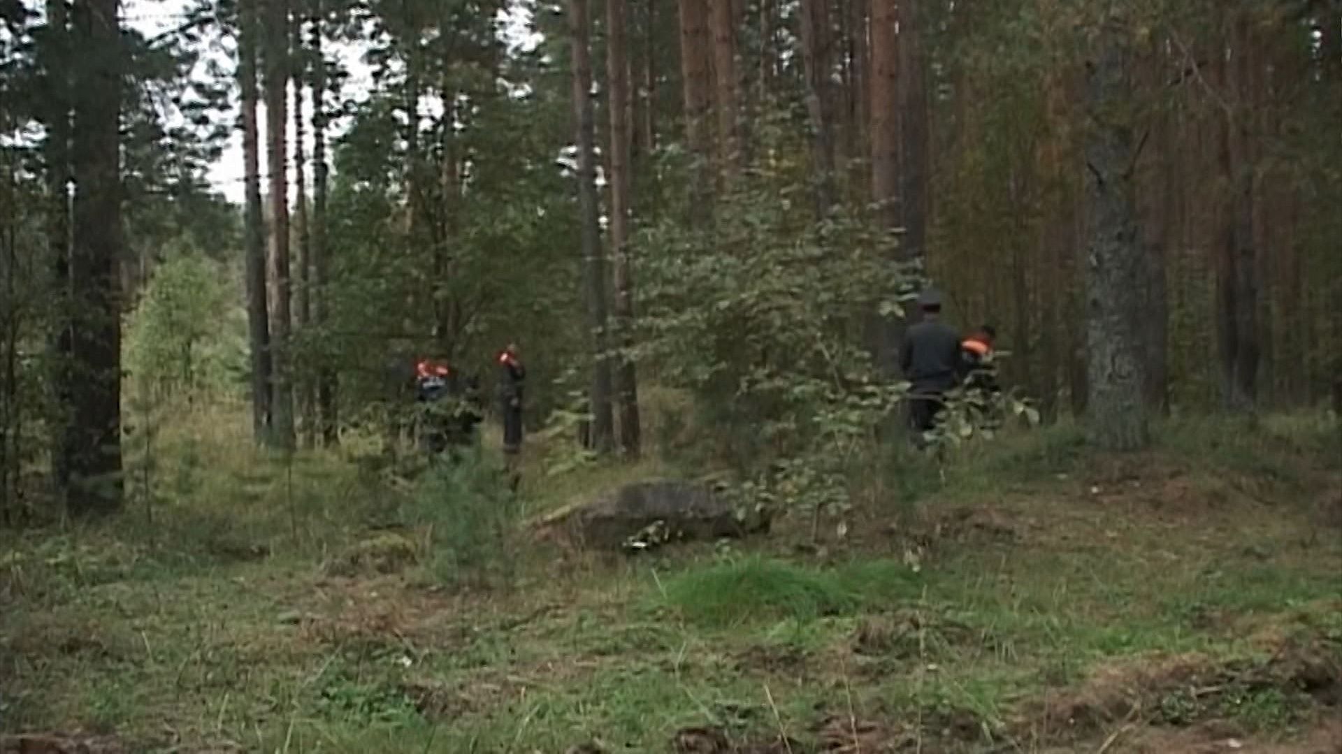 В лесах Костромской области накануне потерялись сразу 5 человек
