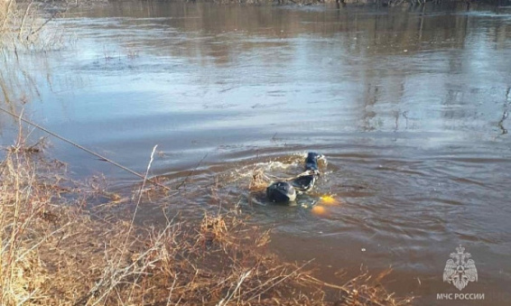 Тело пропавшего 9 апреля костромского рыбака нашли в реке Вига