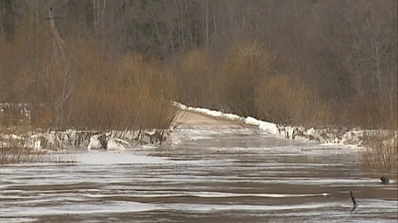 Мост через Вигу на севере Костромской области закроют на время ледохода